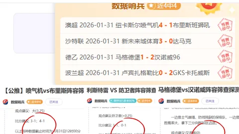 智利主帅谈国家队培养：12年历程，摩洛哥日本卡塔尔为鉴